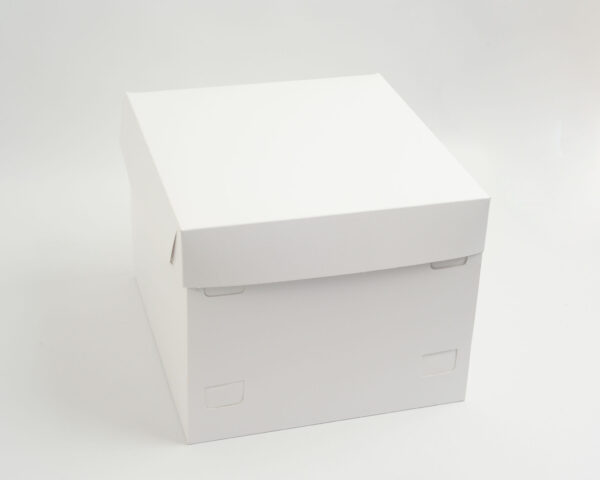 SS 25x25x20 CM