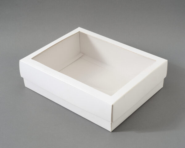 BDP + Tapa con visor 23x18x6.5 CM
