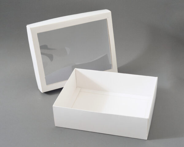 BDP + Tapa con visor 23x18x6.5 CM - Imagen 2