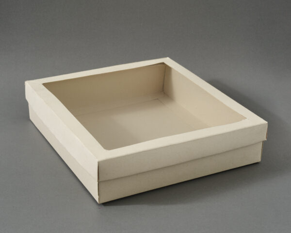 BDP + Tapa con visor 24x22x5.5 CM