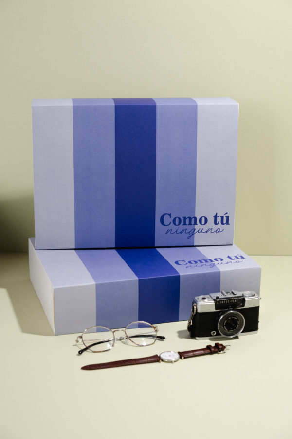 BBG + FUNDA 32x22x8 CM