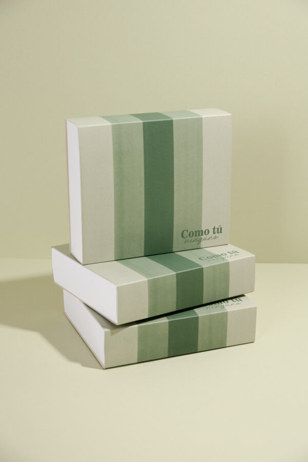 BBG+ FUNDA 18x15x5 CM