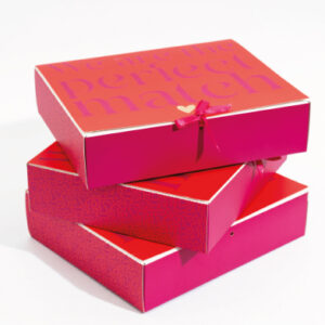 BBG + Tapa con cinta  18x15x5 CM (Medidas internas)