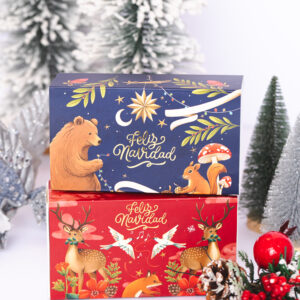 BDP + FUNDA 15.5X8.5X5 CMS