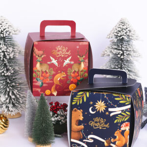 MALETÍN 15X15X15 CMS