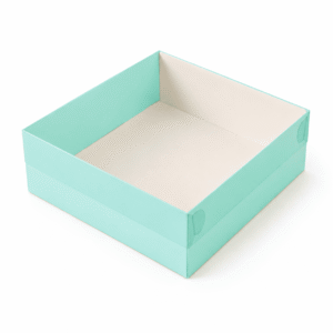 Bdp + Tapa en acetato 20x20x7 CM